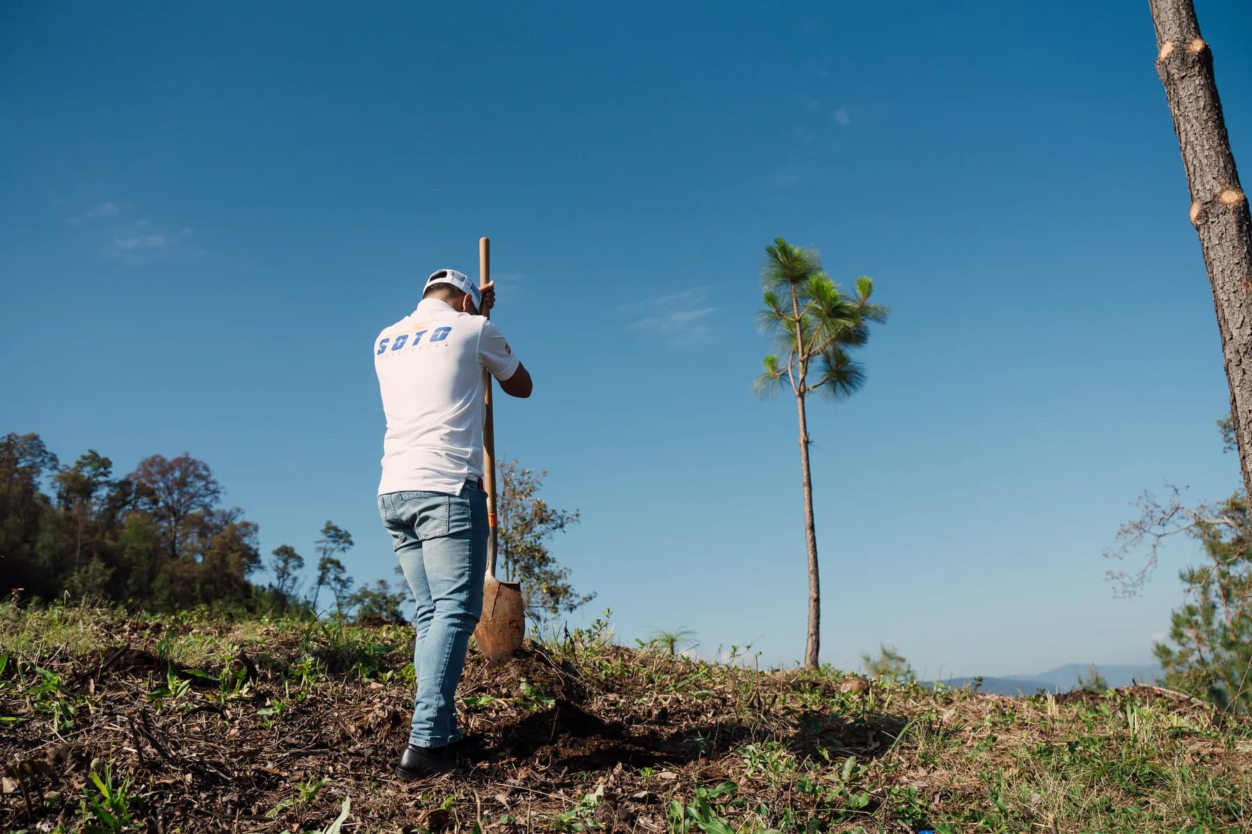 Colaboradores Sotova reforestando