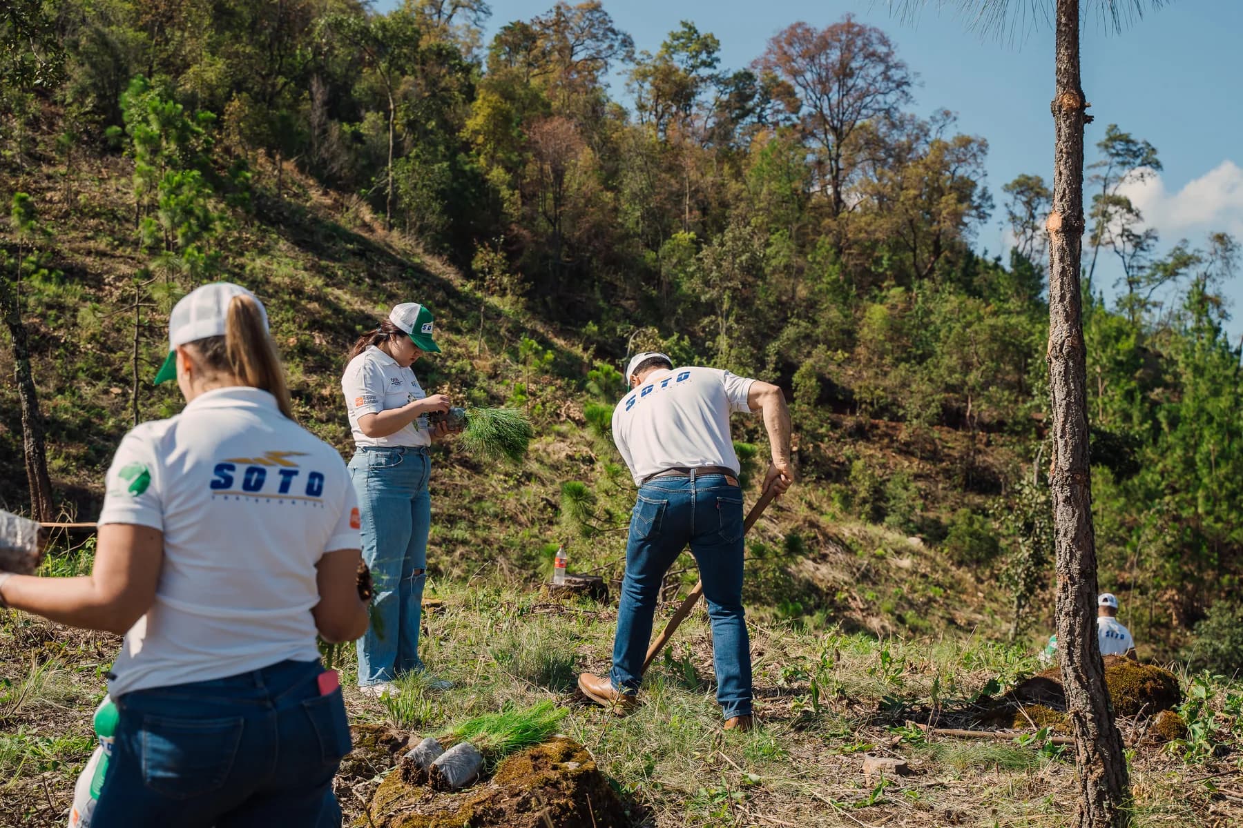 Equipo Sotova en jornada ambiental